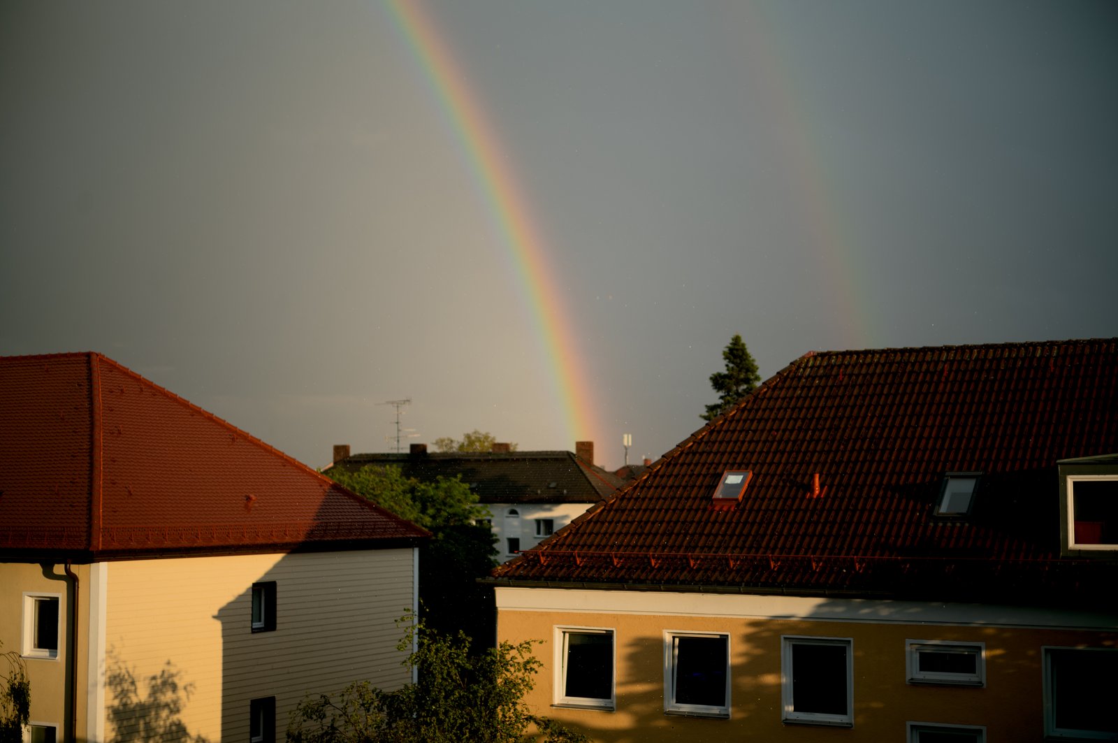 Photograph 5