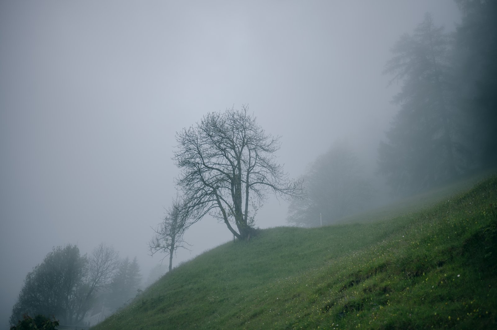 Photograph 6