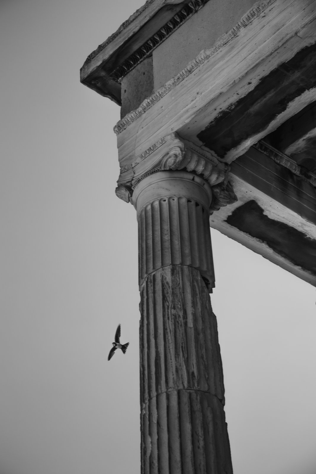 Photograph 19