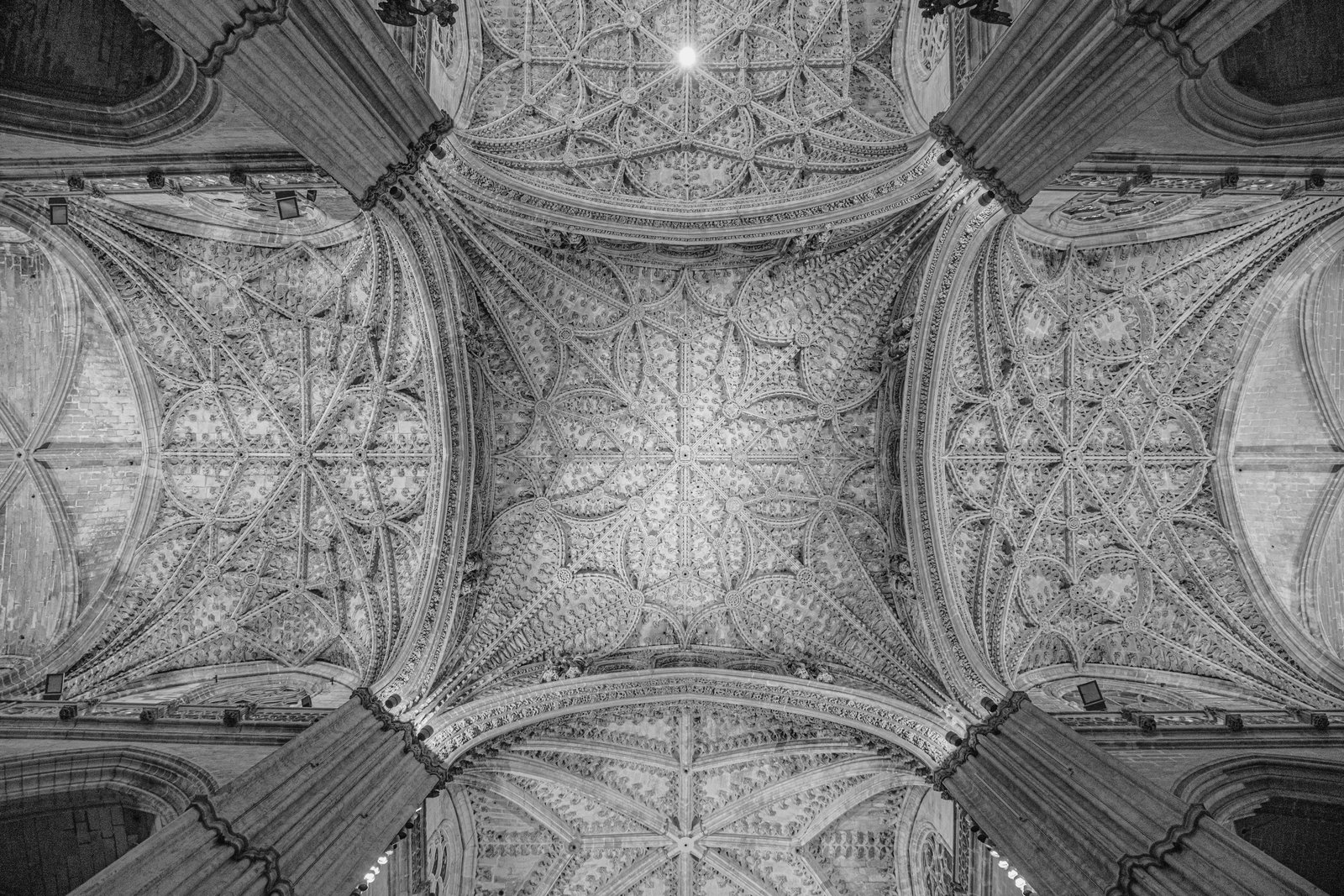 Photograph 23