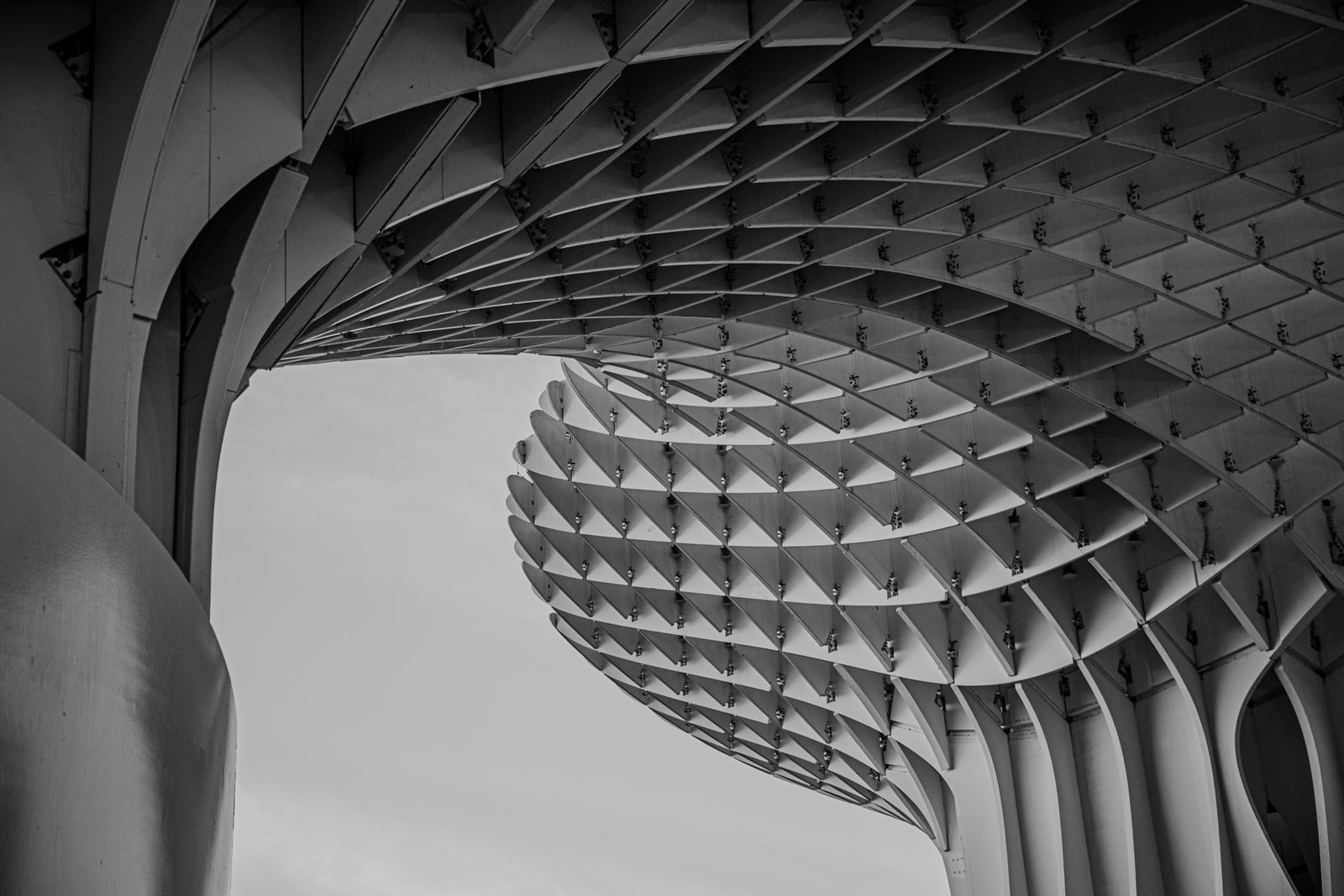 Photograph 24