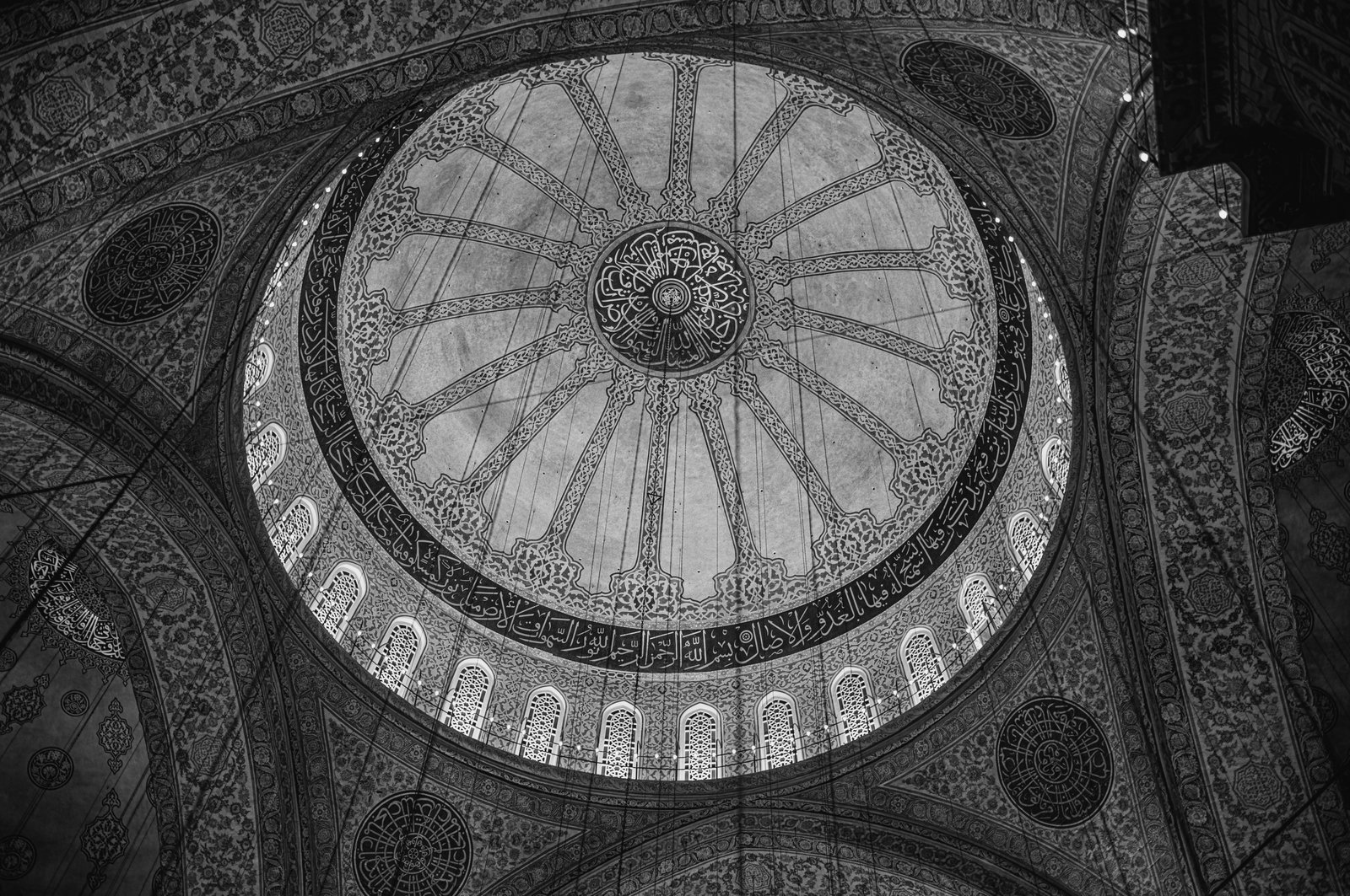 Photograph 29