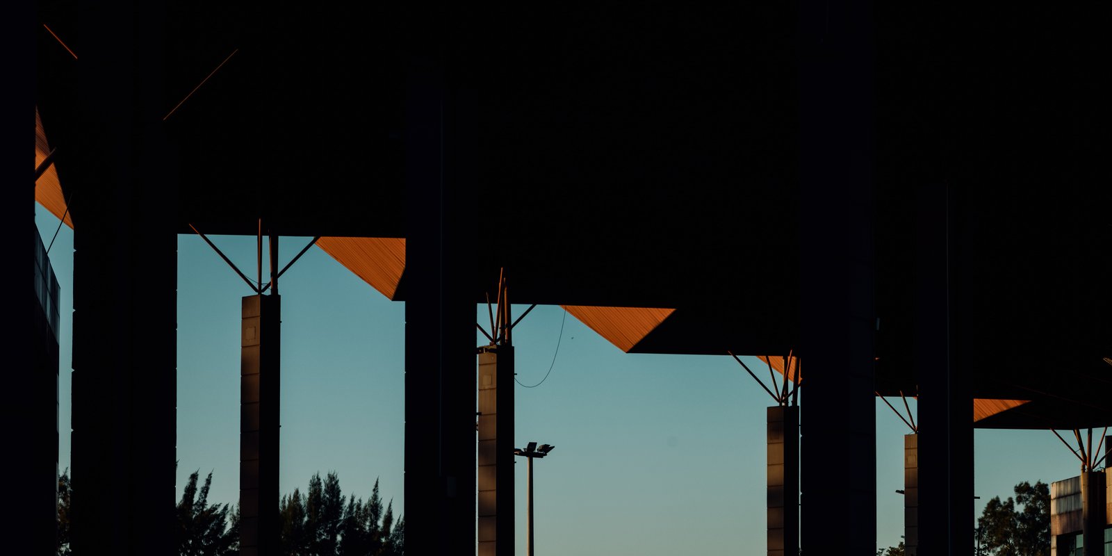 Photograph 31