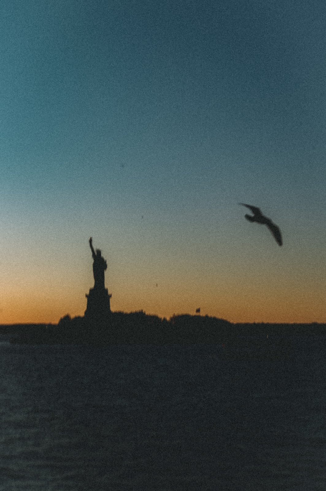 Photograph 37