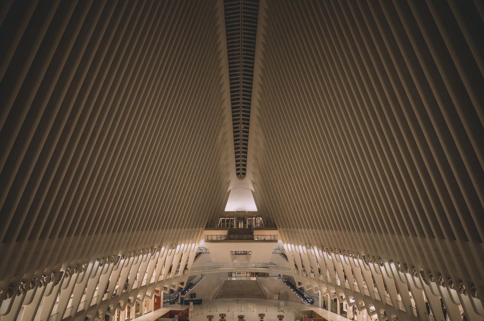 Photograph 38