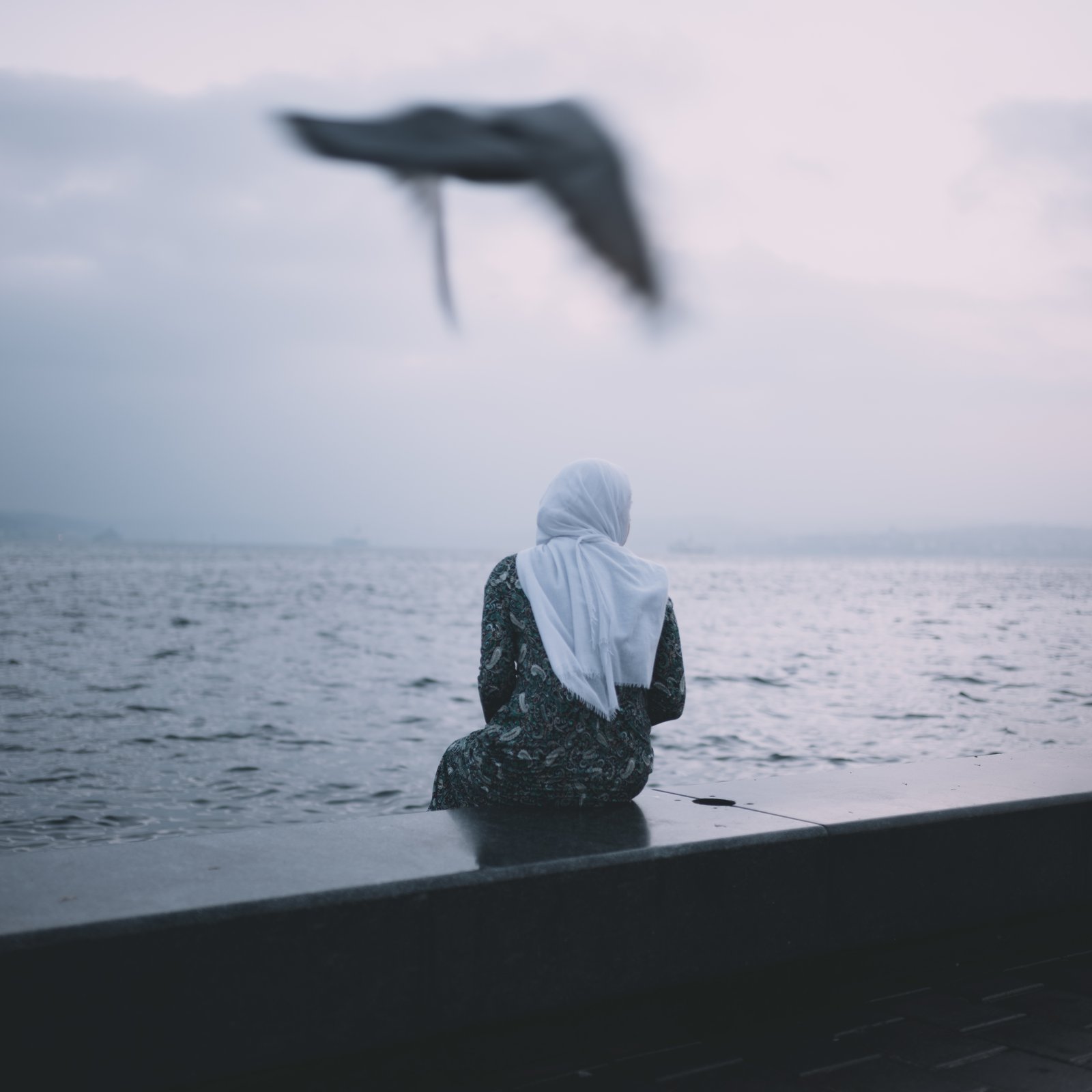 Photograph 49