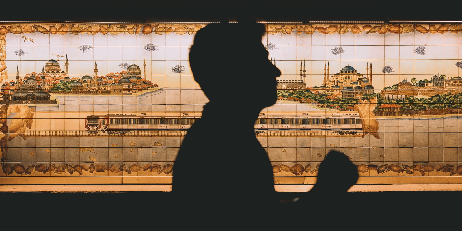 Photograph 50