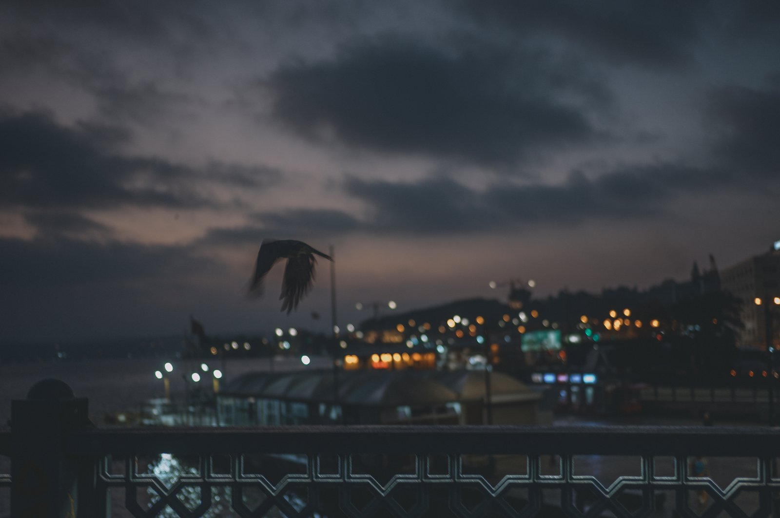 Photograph 66