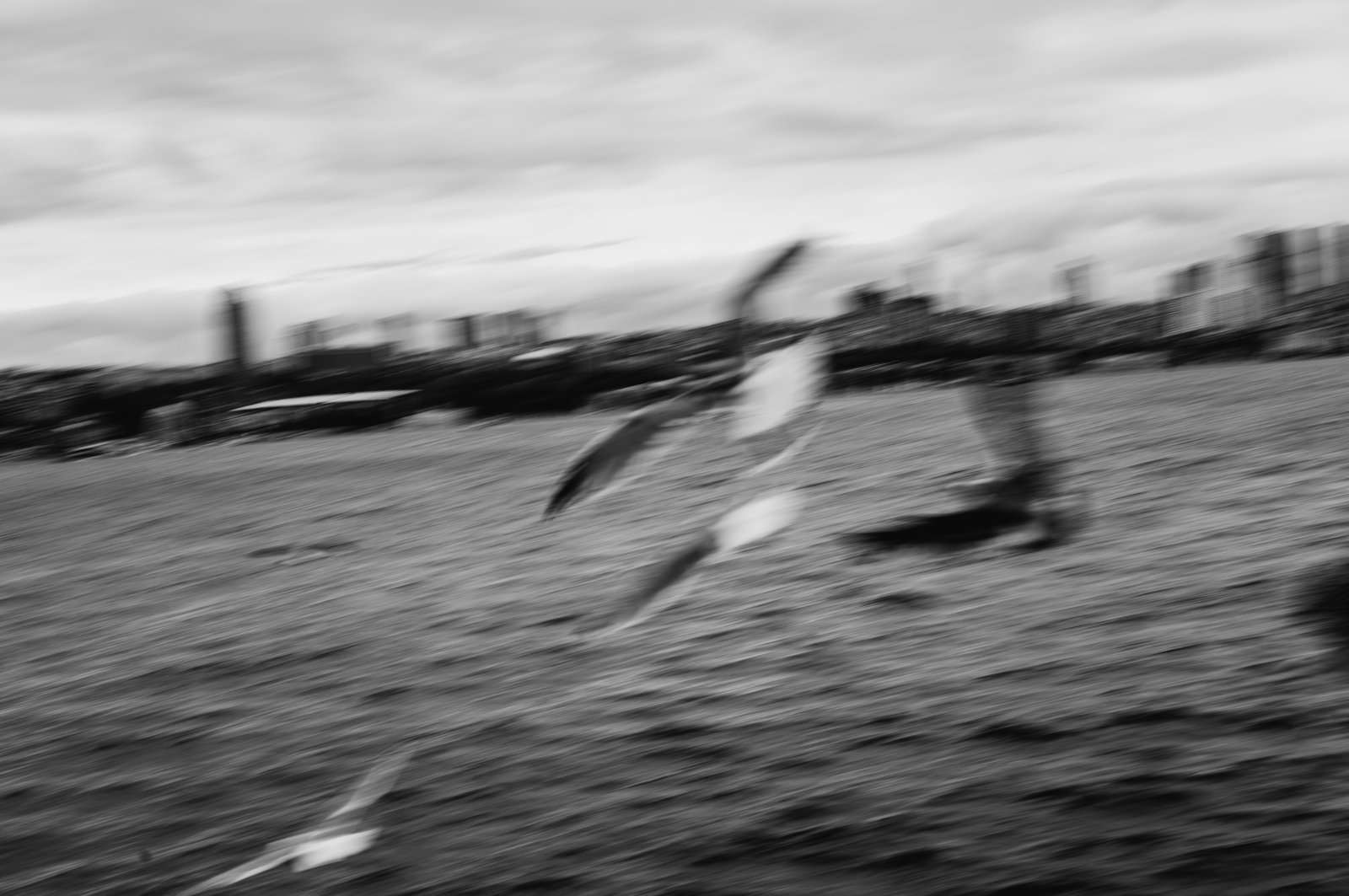 Photograph 67