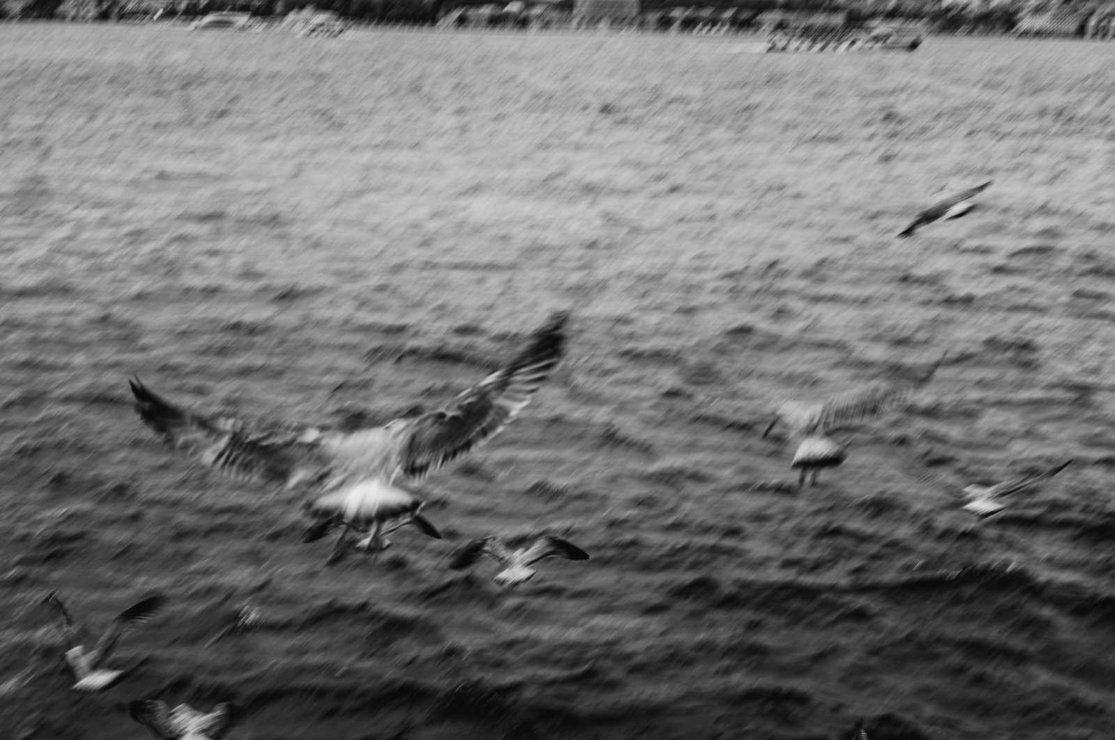 Photograph 68