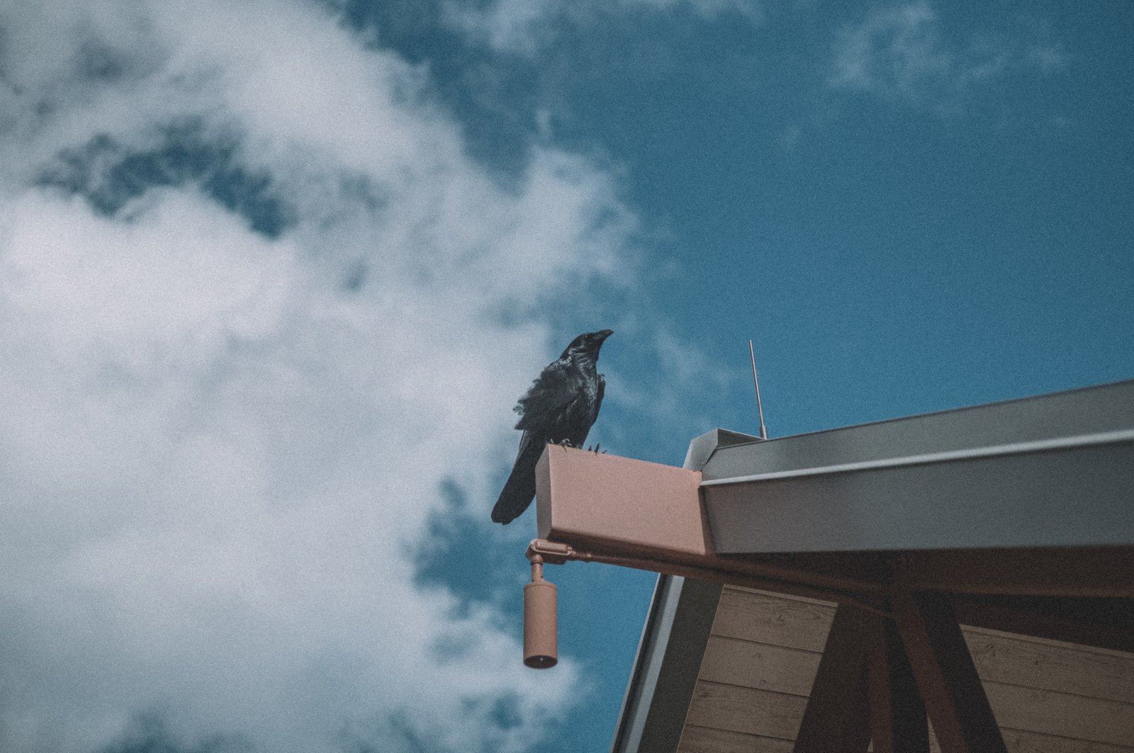 Photograph 69
