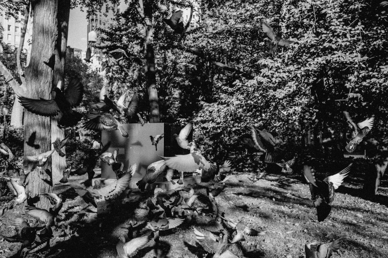 Photograph 70