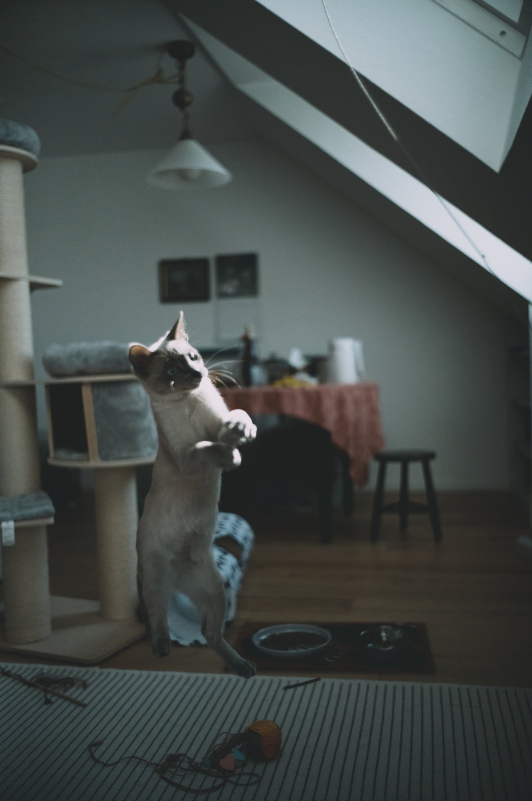 Photograph 73