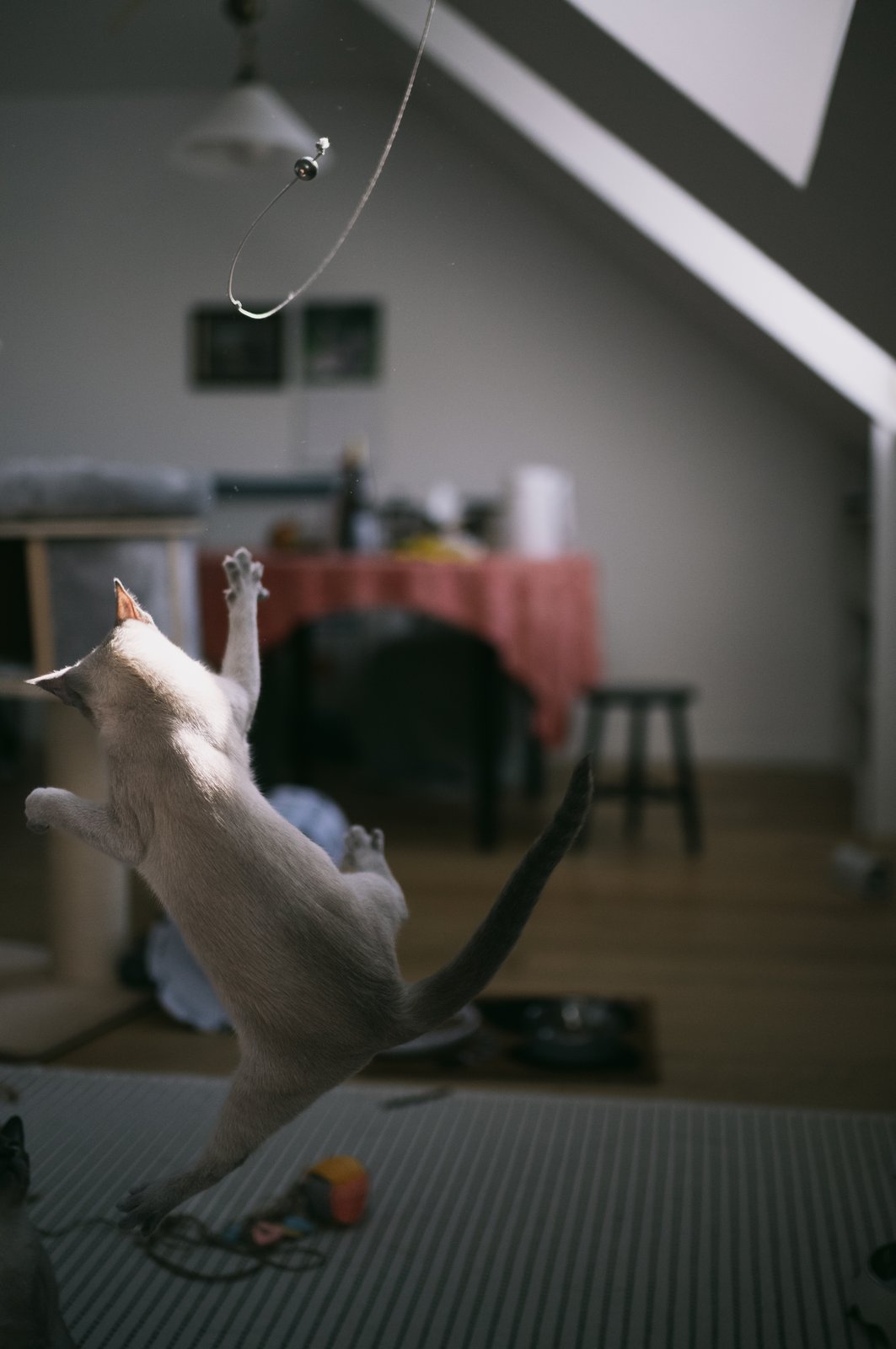 Photograph 75