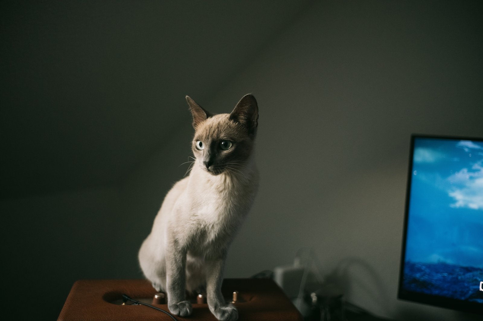 Photograph 76